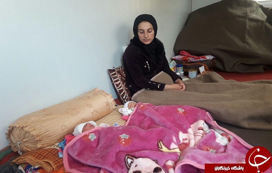 روزهایی که به سردی می رود/