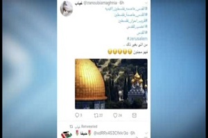 قیام کاربران فضای مجازی برای حمایت از فلسطین + فیلم