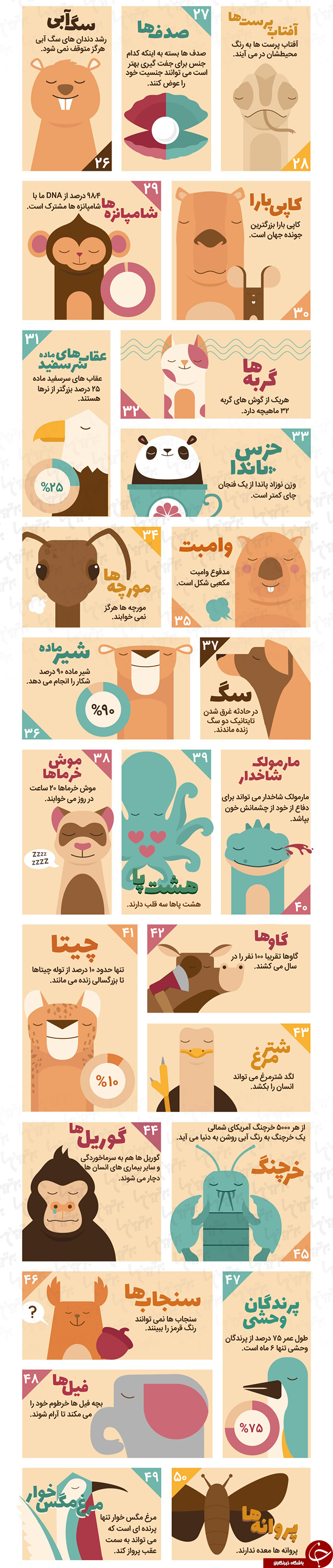 50 راز عجیب از دنیای حیوانات+اینفوگرافیک