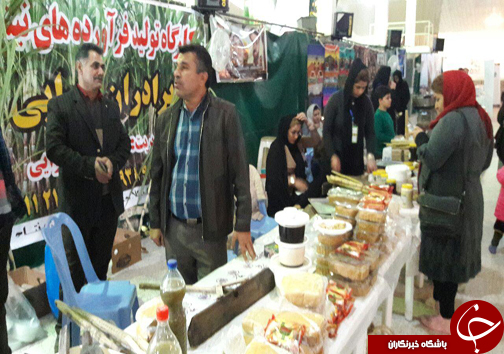 برگزاری نخستین جشنواره نیشکر بومی مازندران در بهنمیر+تصاویر
