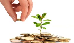 بی توجهی سرمایه گذاران به مناطق آزاد