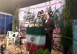 شکر بهنمیر سالم‌ترین شکر دنیا