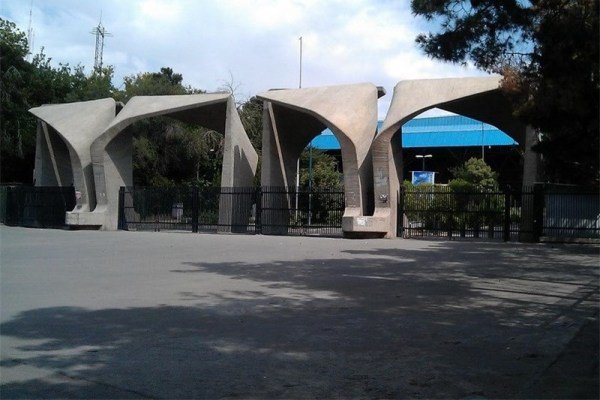 اخلاق رکن اصلی آموزش در ایران/ افزایش سرقت&zwnj;های علمی در دانشگاه&zwnj;ها
