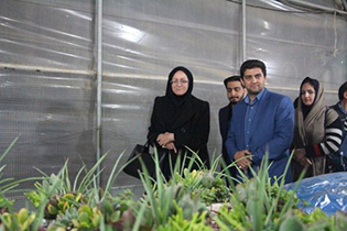 بازار گل و گیاه اصفهان رسالت خود را به خوبی انجام داده است