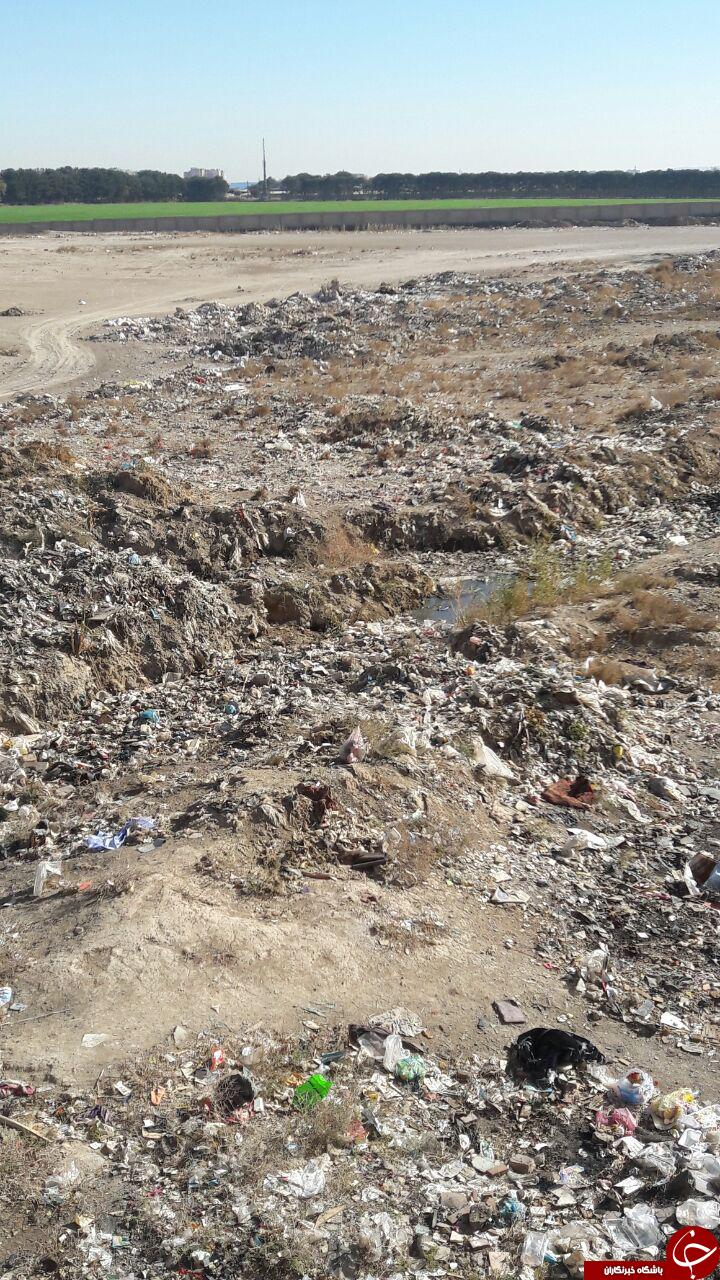 آلودگی ناشی از زبالهها در شهرک سبزدشت + تصاویر آلودگی ناشی از زبالهها در شهرک سبزدشت + تصاویر