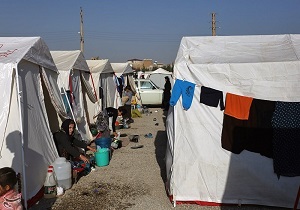 کمک میلیونی خیر قزوینی به زلزله زدگان کرمانشاه