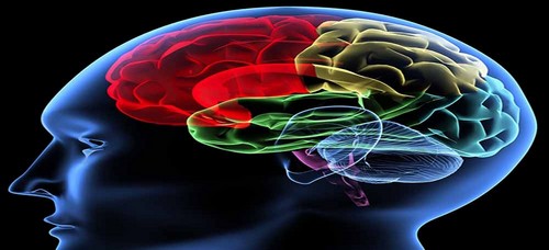 چطور مغزمان را دوپینگ کنیم؟