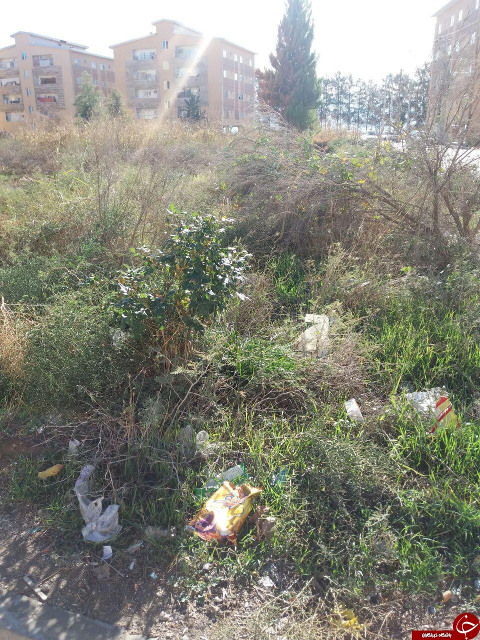 فضای سبز نامناسب در مسکن مهر گنبدکاووس + تصاویر
