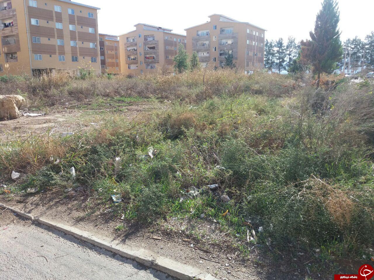 فضای سبز نامناسب در مسکن مهر گنبدکاووس + تصاویر