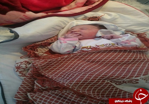 تولد نوزادان عجول در یک روز برفی
