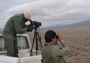سرشماری وحوش در حیات وحش مراکان آغاز شد