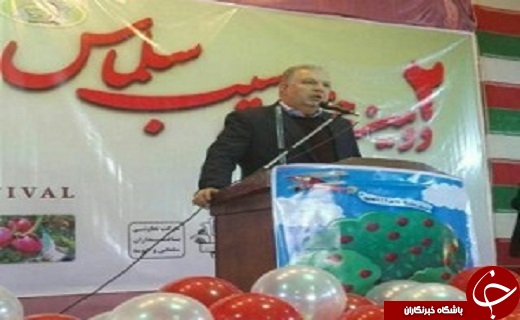 مدیران، برنامه محوری را سرلوحه کار&zwnj;های خود قرار دهند /صادرات ۵۰ هزارتن سیب از آذربایجان غربی به خارج از کشور /کشت سیب زمینی در اراضی زراعی آذربایجان غربی