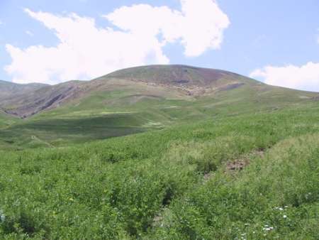 2 درصد از منابع طبیعی استان همدان سند مالکیت ندارند