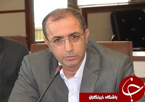 اختصاص ۴۵ درصد تسهیلات تولید و اشتغال به بخش کشاورزی