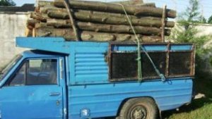 کشف 4 تن چوب قاچاق در املش