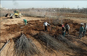 اختصاص ۳۰۰ هکتار زمین برای کمربند سبز اراک / اراک جزو ۵ شهر آلوده کشور است