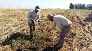 آموزش تسهیلگری مربیان بسیجی۳ استان