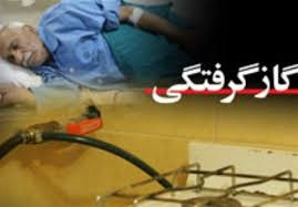 گاز گرفتگی 48 زائر در یاسوج