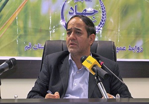 قم؛پیشرو در تشکیل زنجیره ی تولید گوشت قرمز در کشور