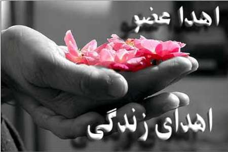 بانوی ملایری جان 2 نفر را نجات داد
