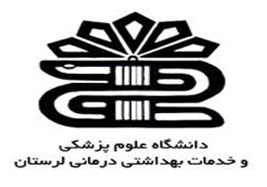 ایجاد ۱۳ طرح بهداشتی درمانی دوره چگنی نیازمند ۳۰ میلیارد تومان