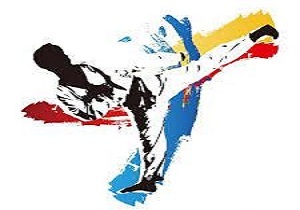 دعوت تکواندو کار قزوینی به اردوی تیم ملی