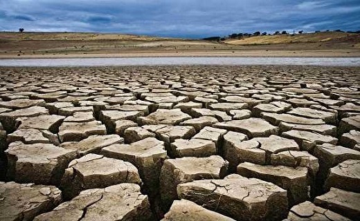 کاهش 59 درصدی بارش در استان سمنان / طرح توسعه باغات در اراضی دیم کم بازده کشور اجرا می&zwnj;شود