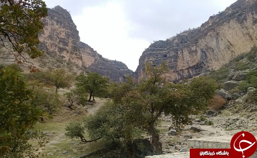 نمایی از طبیعت زیبا و بکر &laquo;مورکی&raquo; در قاب دوربین + تصاویر