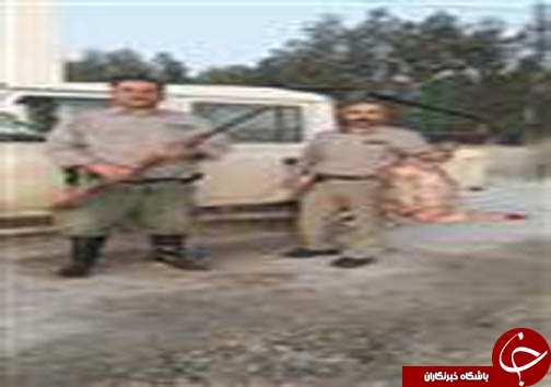 دستگیری شکارچیان غیرمجاز در مازندران دستگیری شکارچیان غیرمجاز در مازندران