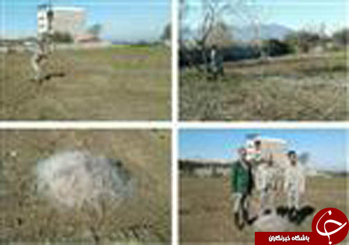 دستگیری شکارچیان غیرمجاز در مازندران دستگیری شکارچیان غیرمجاز در مازندران