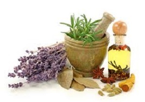 صادرات گیاهان دارویی آلمان با درآمدهای نفتی ایران برابر است/اختصاص ردیف اعتباری مستقل به گیاهان دارویی