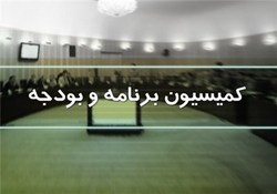 تعیین 9 عضو کمیسیون برنامه برای عضویت در کمیسیون تلفیق بودجه 97
