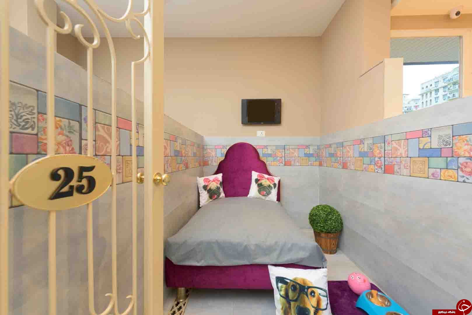 هتلی عجیب با ساکنان غیر معمول در هندوستان+فیلم هتلی عجیب با ساکنان غیر معمول در هندوستان+فیلم