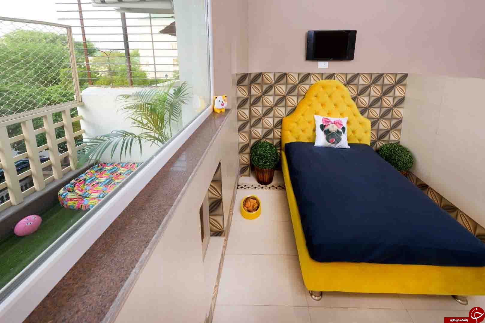 هتلی عجیب با ساکنان غیر معمول در هندوستان+فیلم هتلی عجیب با ساکنان غیر معمول در هندوستان+فیلم
