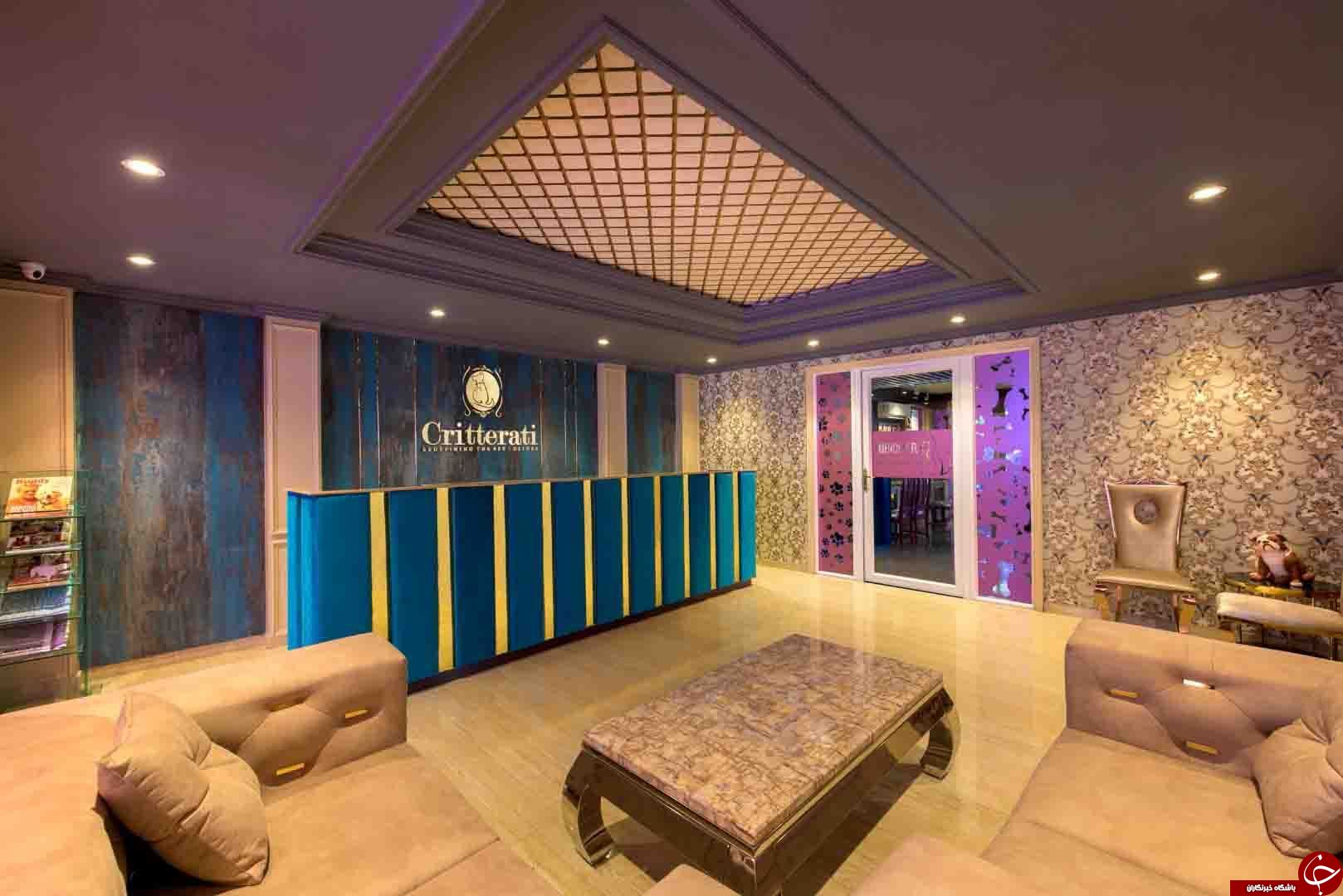 هتلی عجیب با ساکنان غیر معمول در هندوستان+فیلم هتلی عجیب با ساکنان غیر معمول در هندوستان+فیلم