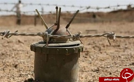 شبکه افراد سودجوی مالیاتی در مازندران متلاشی شد /دو شهید و مجروح بر اثر انفجار مین /تصادف دانش آموزان در اردوی راهیان نور