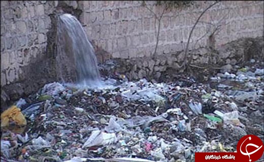از خودنمایی سنگ های زئولیت تا سنبل آبی تهدیدی جدی برای تالاب + فیلم