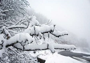 پیش بینی بارش پراکنده برف در ارتفاعات استان