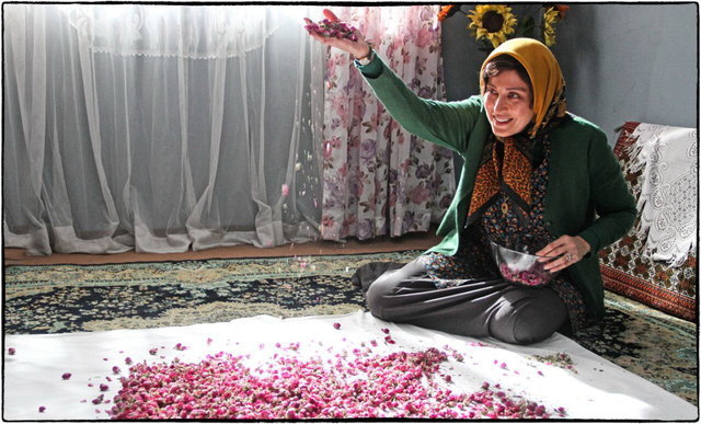 فیلم های ایرانی جدید در سال 96 را بشناسید + تصاویر