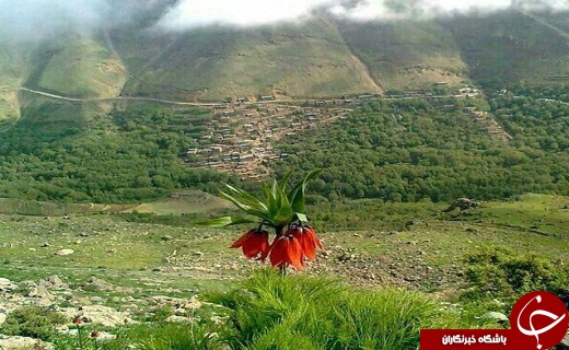 چشماندازی از طبیعت زیبا و کوهستانی اورامان تخت + تصاویر چشماندازی از طبیعت زیبا و کوهستانی اورامان تخت + تصاویر