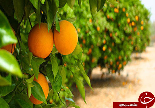 نگاهی گذرا به مهمترین رویداد&zwnj;های چهارشنبه ۲۲ آذرماه در مازندران