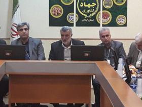 واقعی سازی تعرفه واردات ابریشم از مهمترین راهکارهای تقویت نوغانداری است