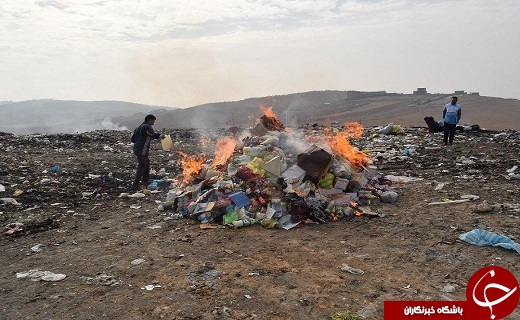 بیش از یک و نیم تن مواد غذایی تاریخ گذشته در میاندوآب امحا شد