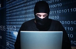 غذا دادن سامان قدوس به فیل + فیلم