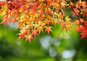 وضعیت جوی استان قم 96/09/24