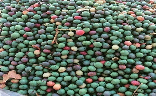 روش های جذاب برای لاغر شدن/تائورین مولکولی برای درمان ام اس/ سیب زمینی منبع سرشار ویتامین A/ همراه غذا آب نخورید