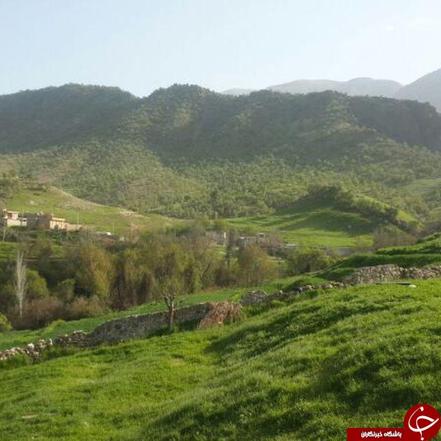 طبیعت زیبا و سرسبز روستای 