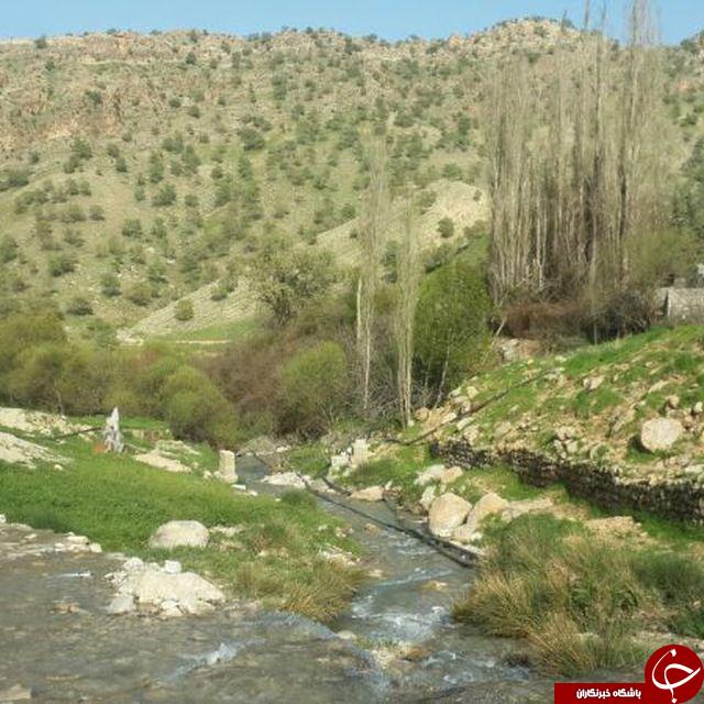 طبیعت زیبا و سرسبز روستای 