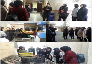 دانش آموزان مهابادی از اداره حفاظت محیط زیست این شهرستان بازدید کردند
