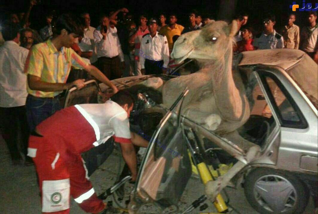 تصادف باشتر قربانی گرفت